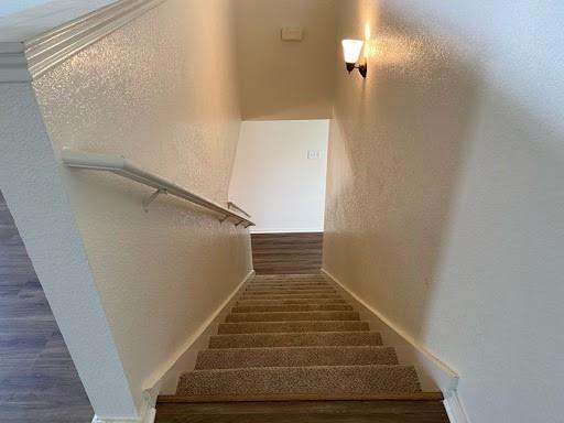 Building Photo - 1101 Mustang Ridge Dr
