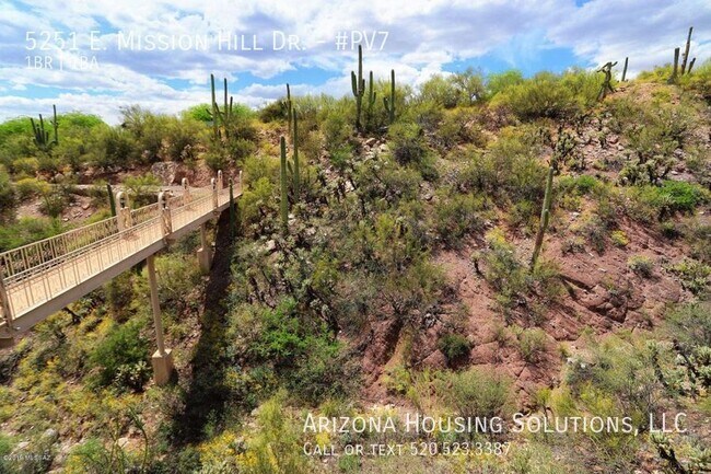 Building Photo - Palo Verde 7