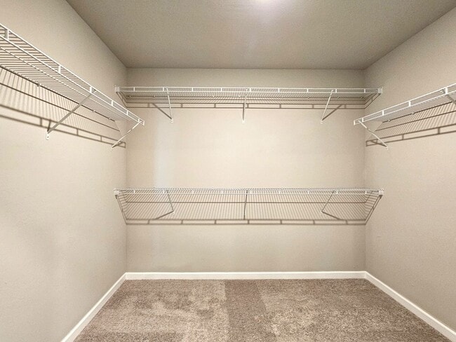 Building Photo - 1616 Amaranth Ln