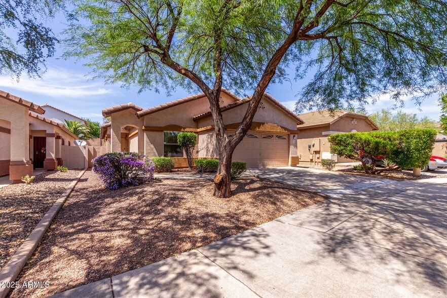 Building Photo - 2556 W Amber Sun Dr