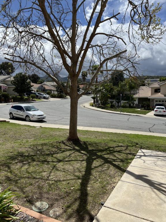 Building Photo - 29114 Wayfarer Ln