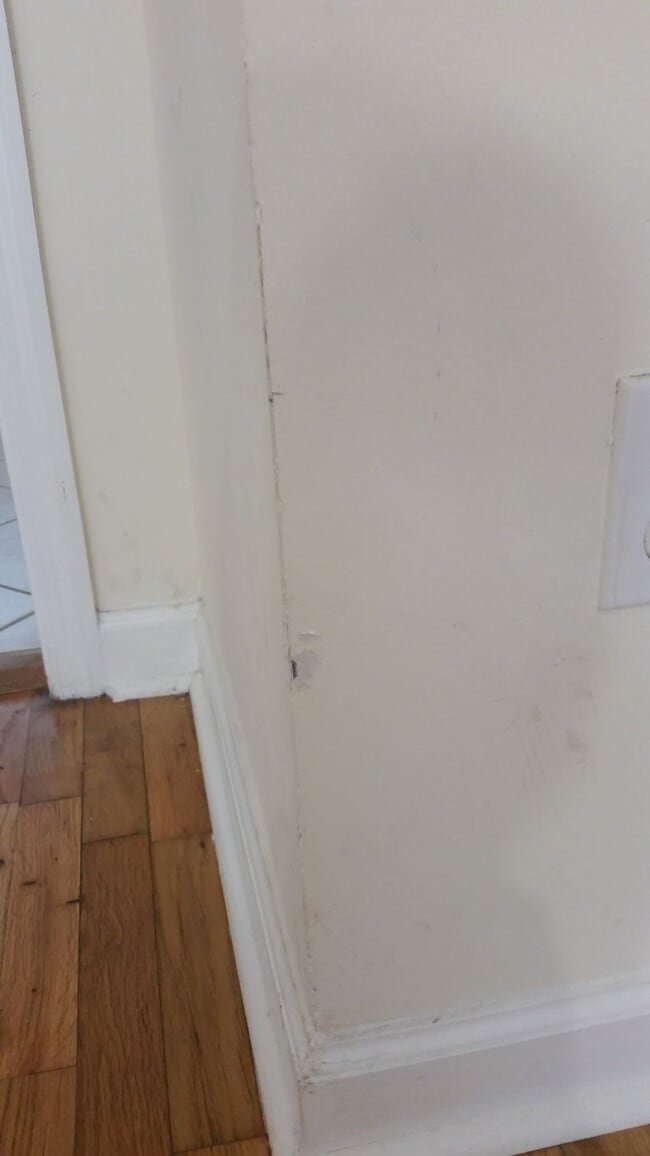 Building Photo - cute place