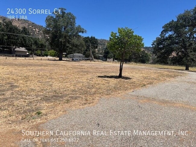 Building Photo - 24300 Sorrel Ct
