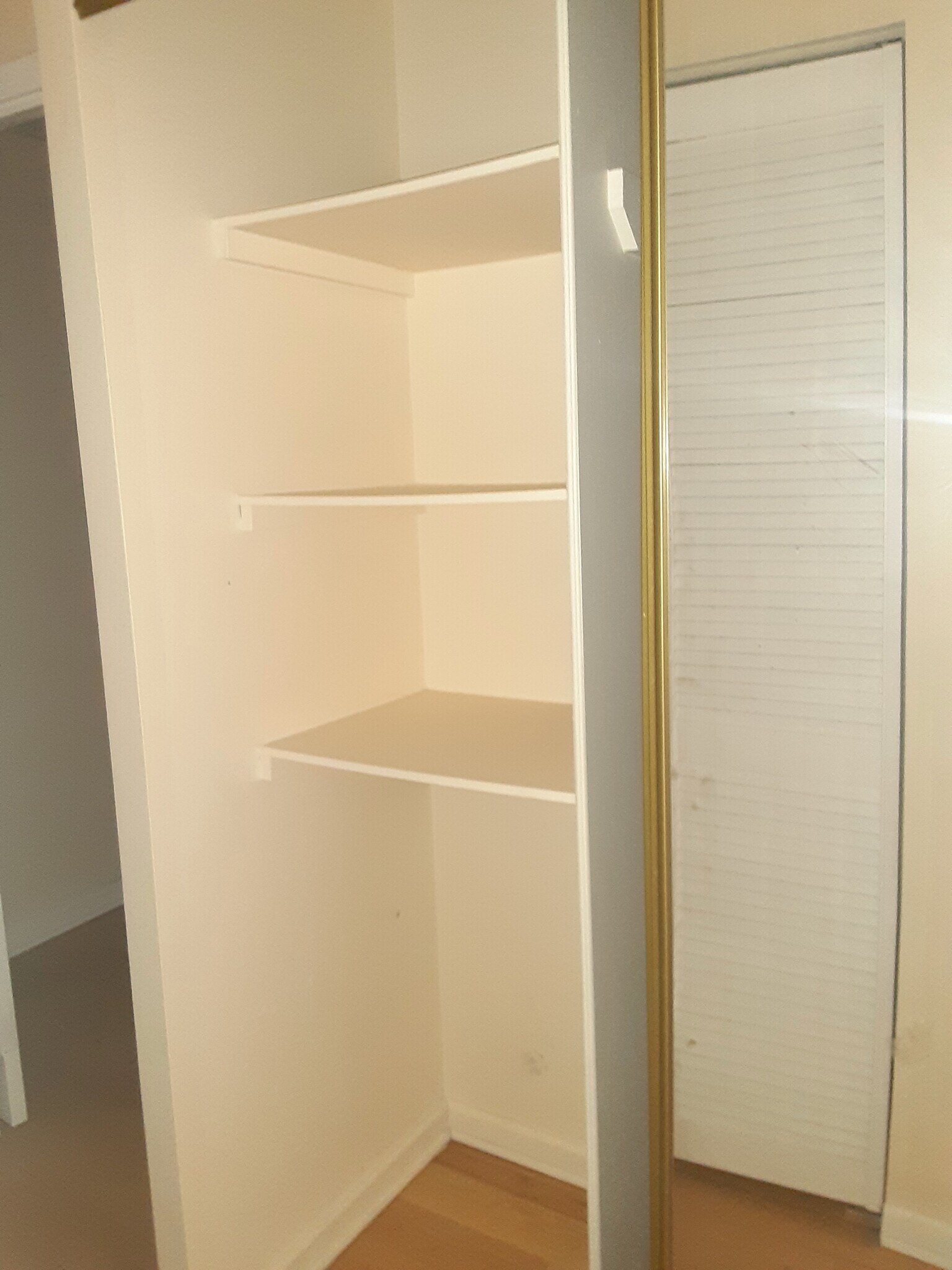 Linen or storage closet - 1636 N Wells St