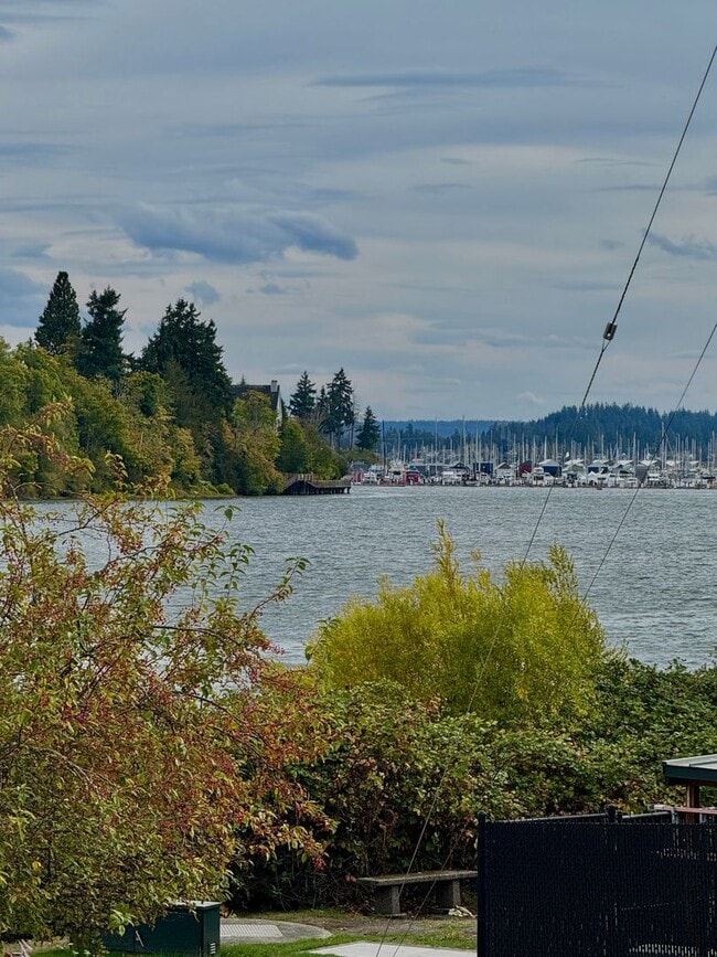 Building Photo - Downtown Poulsbo water view condo...comple...