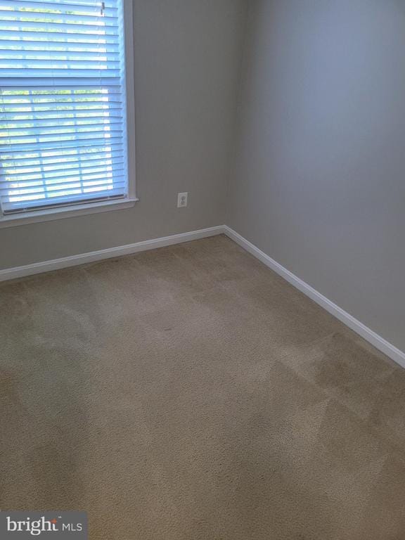 Building Photo - 25117 Sweet Myrtle Square