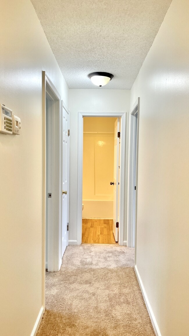 Building Photo - 1311 Copper Stone Cir