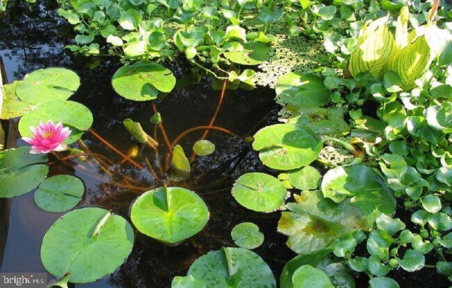 Building Photo - 8 Knoll Ridge Ct