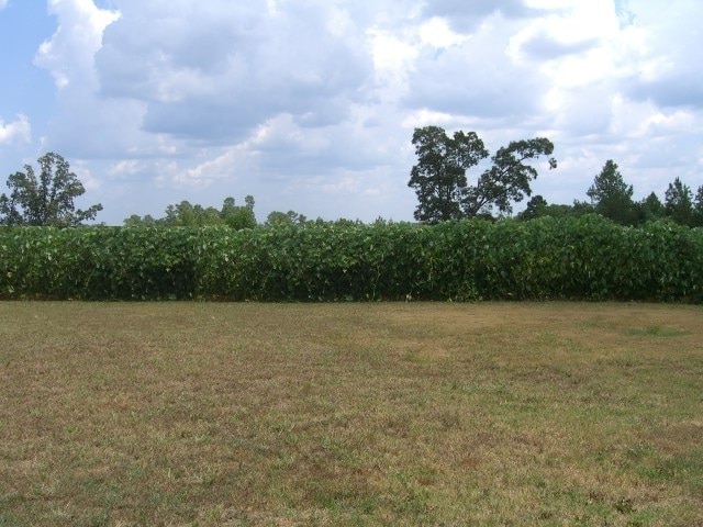 Private BackYard - 416 Thacker Loop