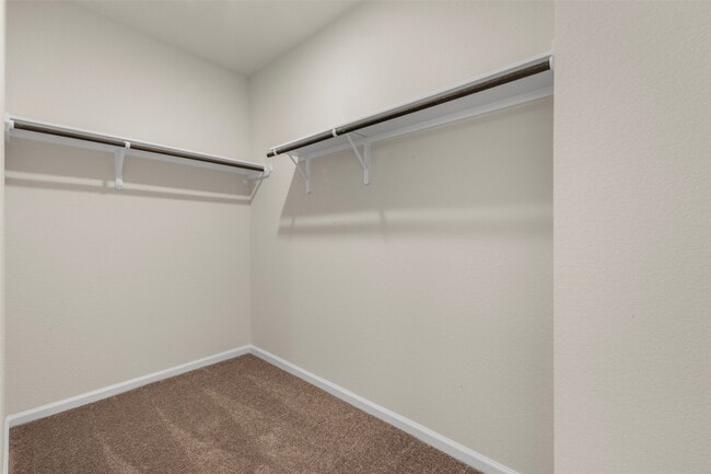 Building Photo - 10249 Badger Run Ln