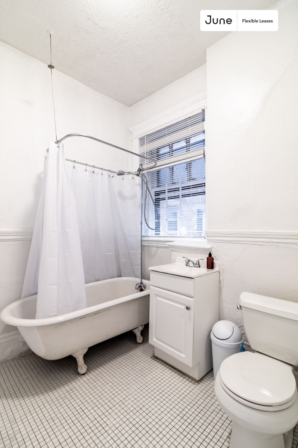 31 Queensberry St., #1-2 - 31 Queensberry St