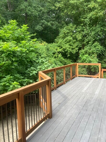 1st floor deck - 117 Ritchie Avenue