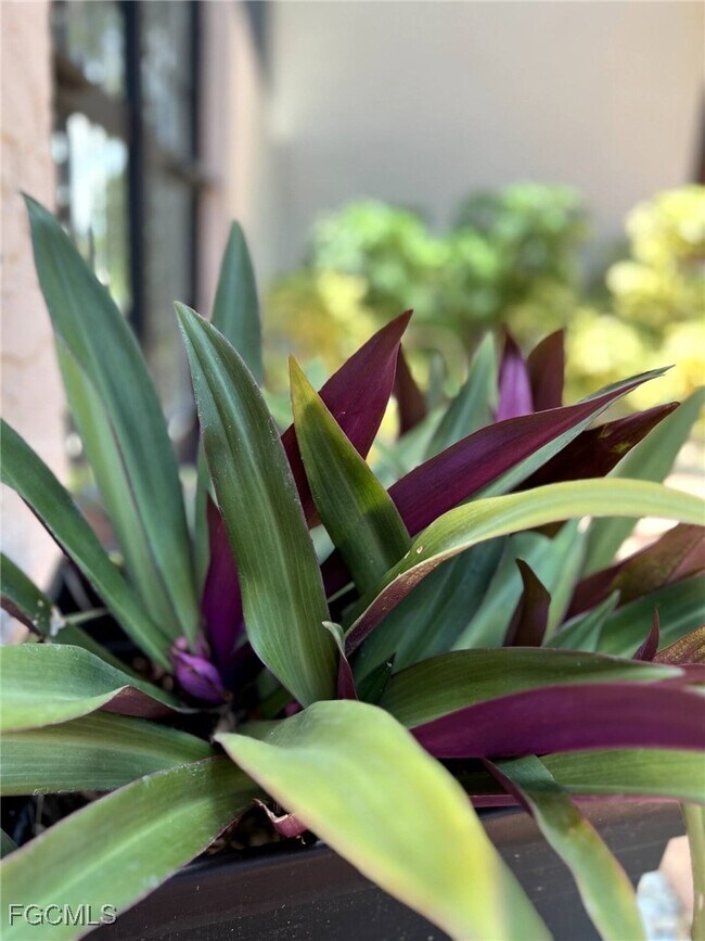 Building Photo - 5255 Coronado Pkwy