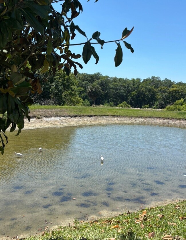 Building Photo - 4195 Winding Vine Dr