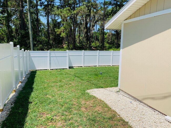 Backyard - 2710 Fern Palm Dr