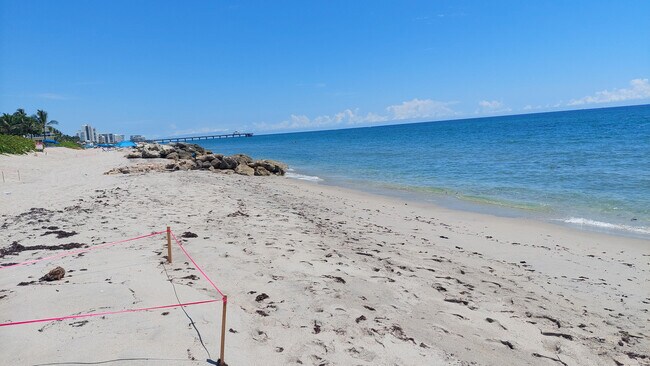 Building Photo - 367 S Federal Hwy