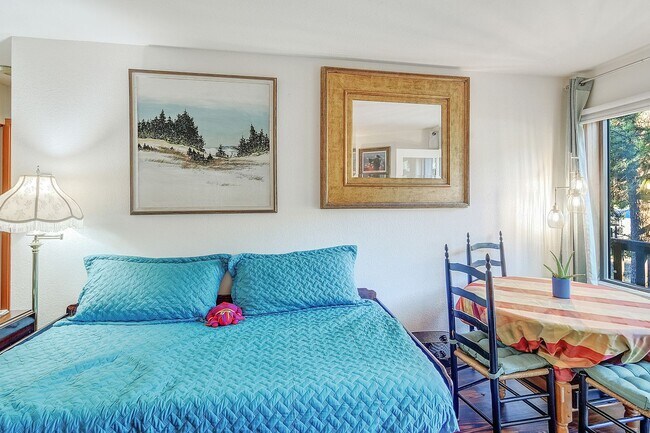 Building Photo - FRISCO ! Furnished! 1 pet negotiable!  An Artist's retreat! Must see.