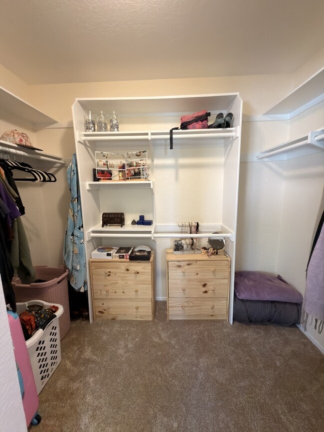 Building Photo - 9062 Stargaze Ave