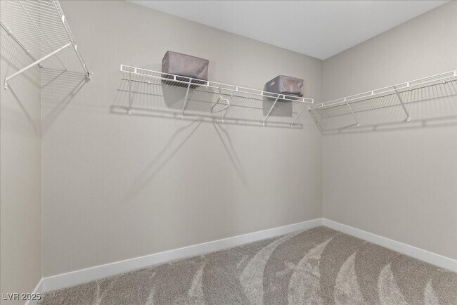 Building Photo - 4181 Nopal Serrano Ave