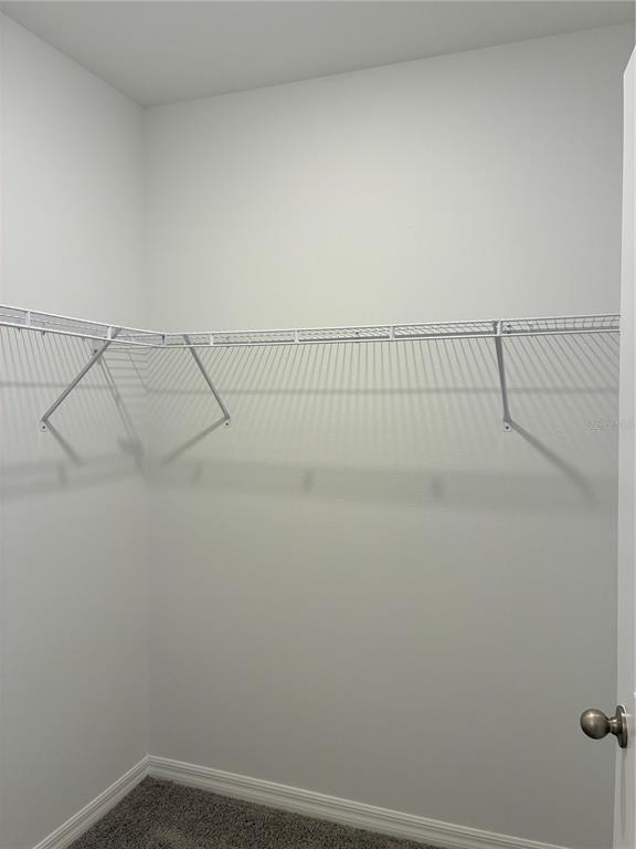 Building Photo - 32619 Turtle Grace Lp