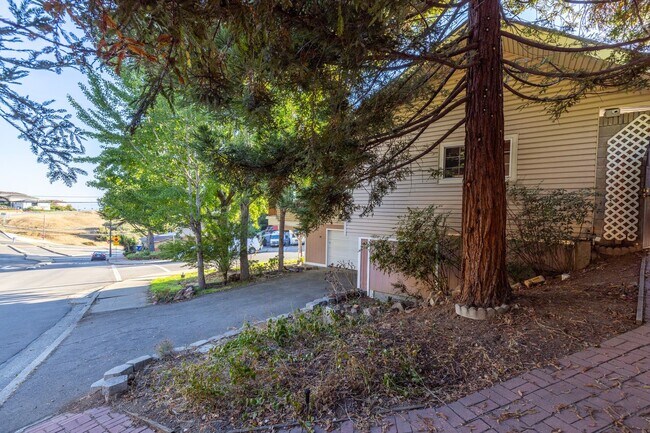 Building Photo - Beautiful 3 bedroom home with Castro Valle...