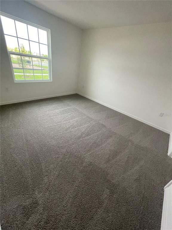 Building Photo - 1313 Blazing Star Ln