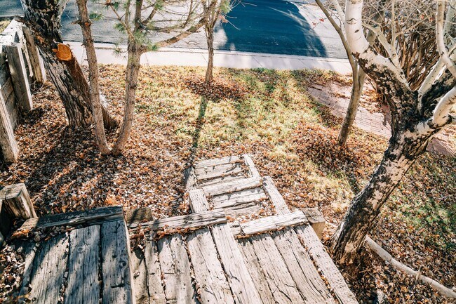 Building Photo - SMALL DOG FRIENDLY!!!  Meadow Street House