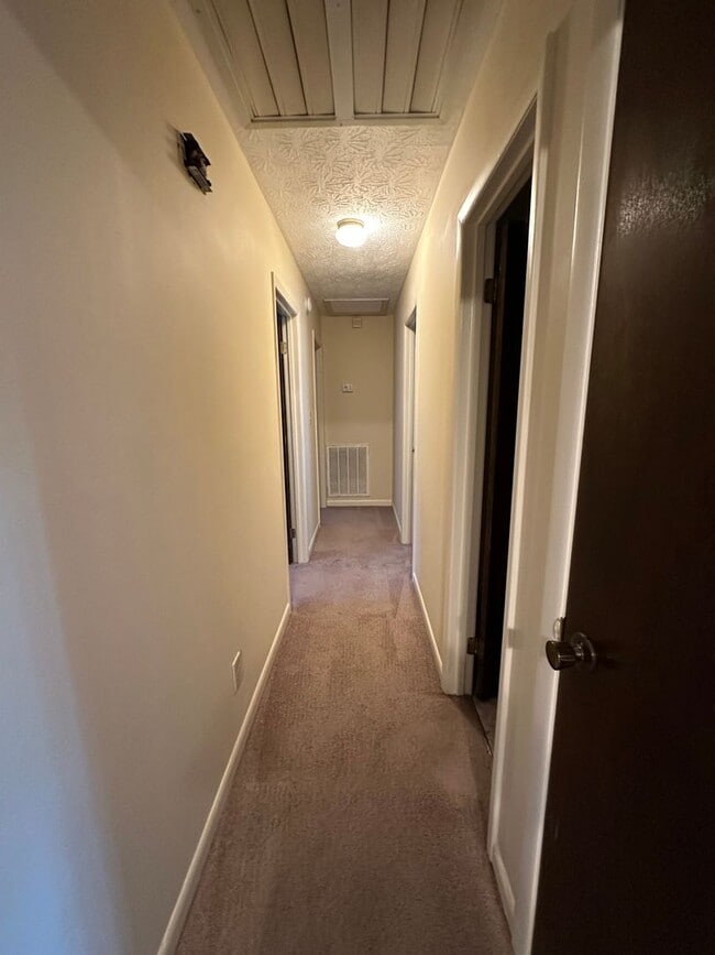 Building Photo - 5013 Buggy Ln