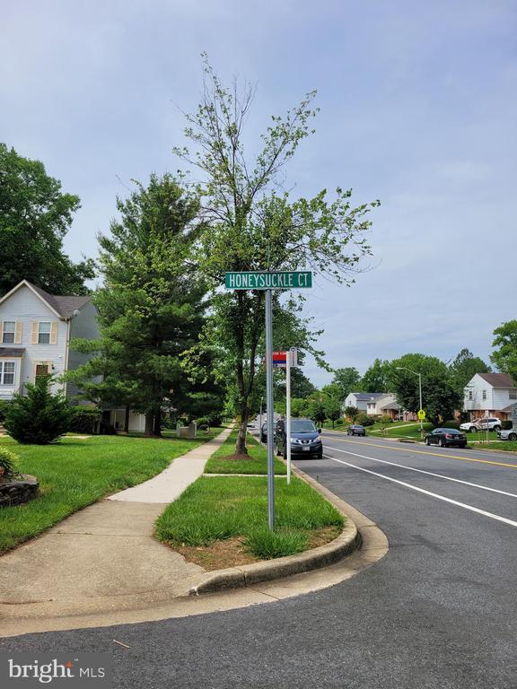 Building Photo - 11425 Honeysuckle Ct