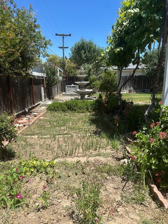 Building Photo - 909 E Olive Ave