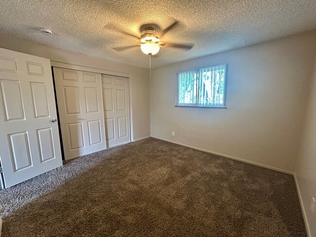Bright and inviting bedroom with plush carpeting and ample closet space, perfect for relaxing and unwinding. - Boardwalk Apartments