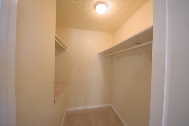 Building Photo - 1214 Sycamore Dr