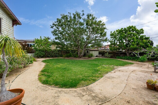 Building Photo - Loma Portal Craftsman with Views