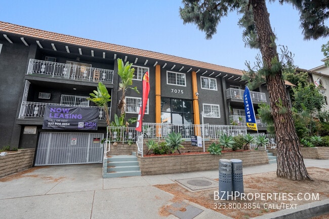 Building Photo - Beautiful 1 Bedroom in Prime Hollywood