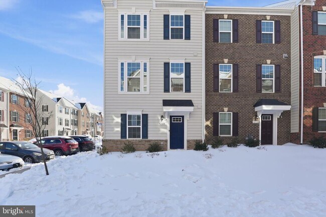 Building Photo - 42538 Tiber Falls Sq