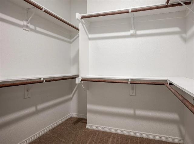 Building Photo - 2704 Vine Ct