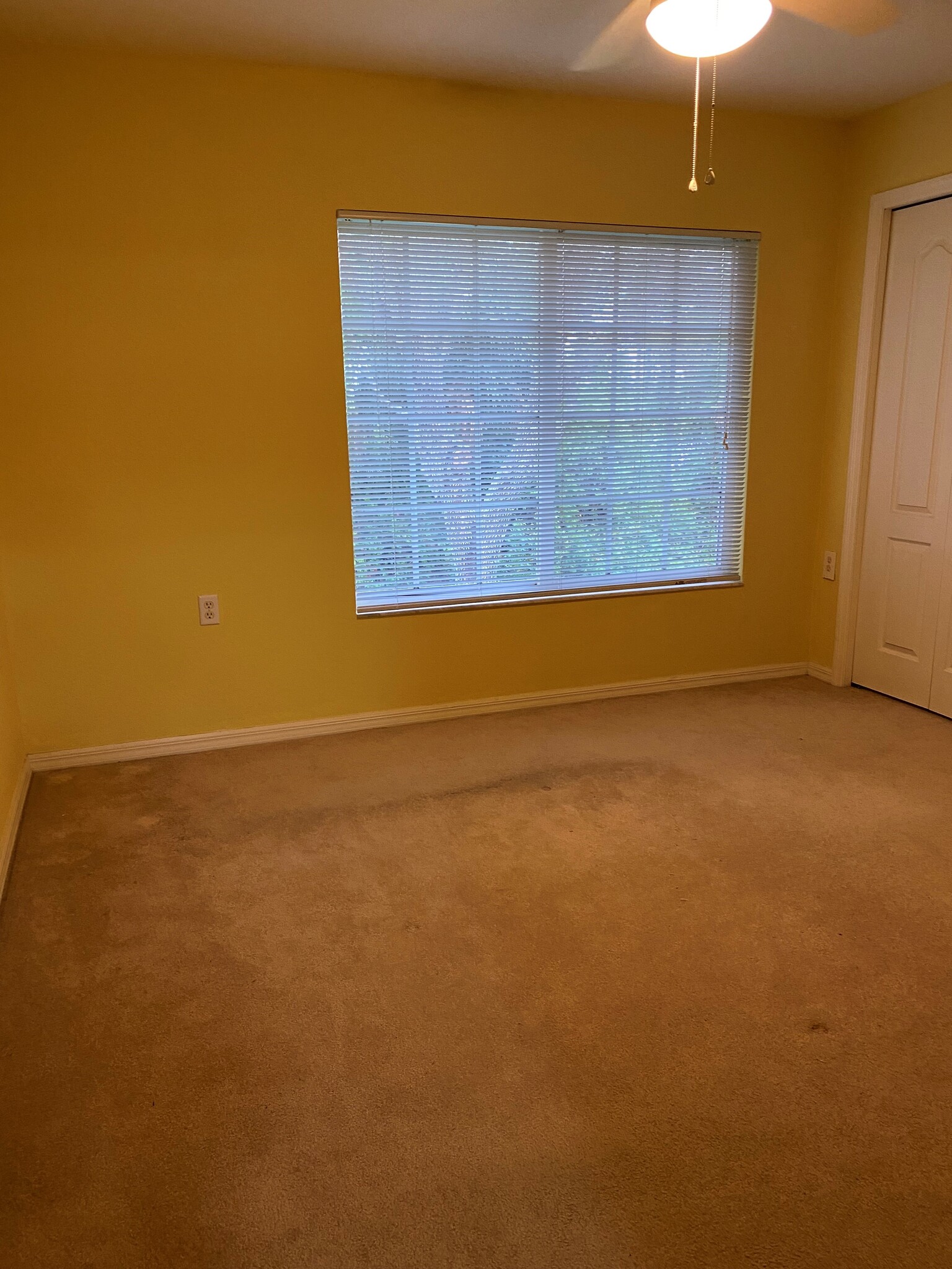 Large en suite primary bedroom with lots of light and closet space! - 9420 Ivy Brook Run