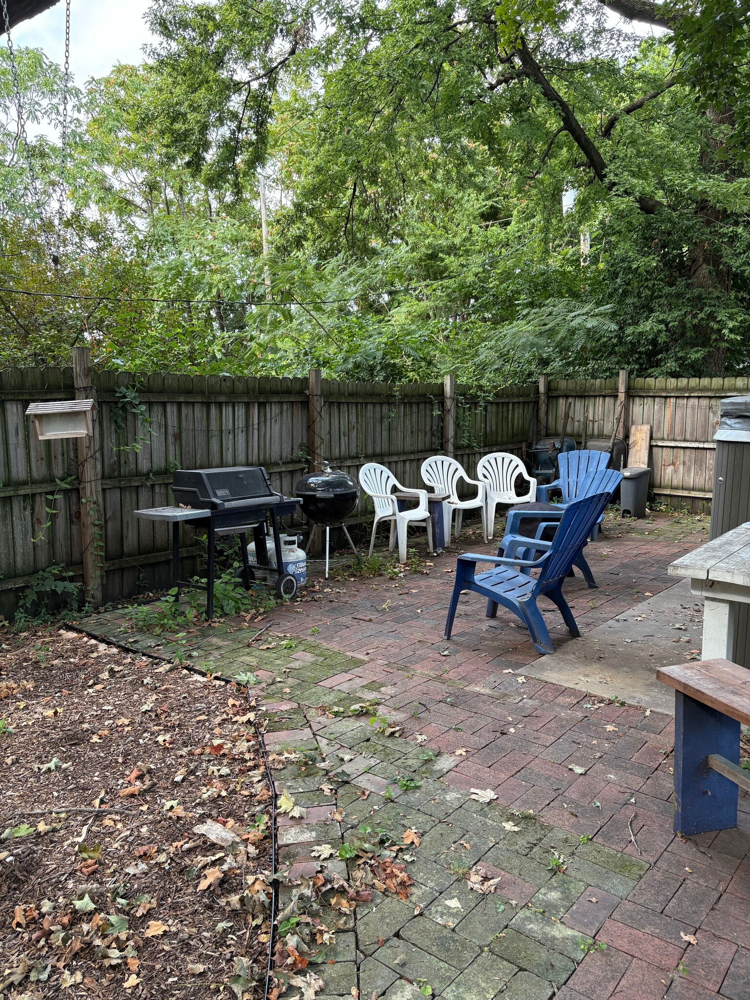 back yard common area - 1721 Nicholson Pl