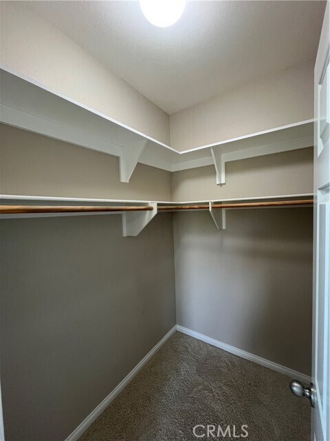 Building Photo - 2884 Bella Ct