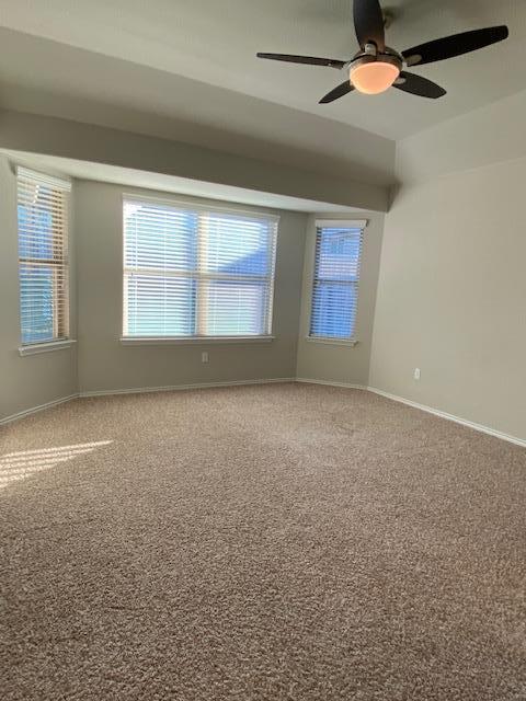 Building Photo - 109 Palestine Cove