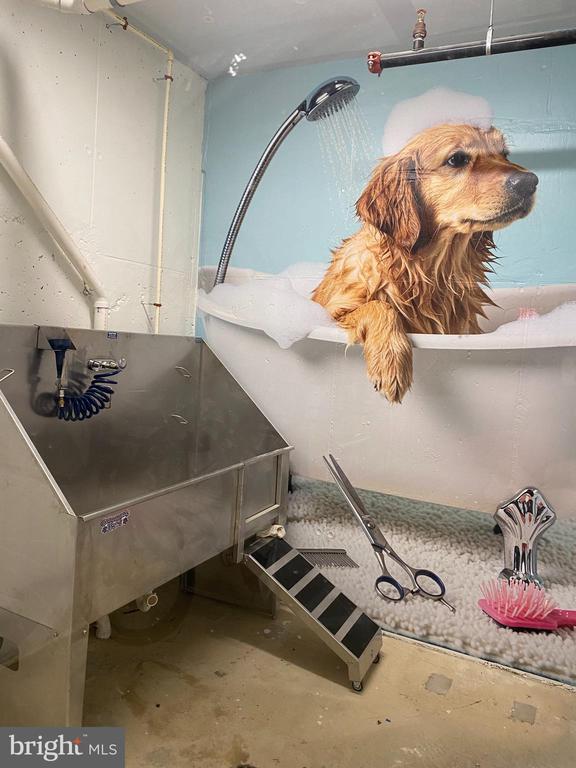 Building Photo - 811 N Columbus St