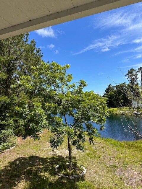 Building Photo - 135 Palmera Ln