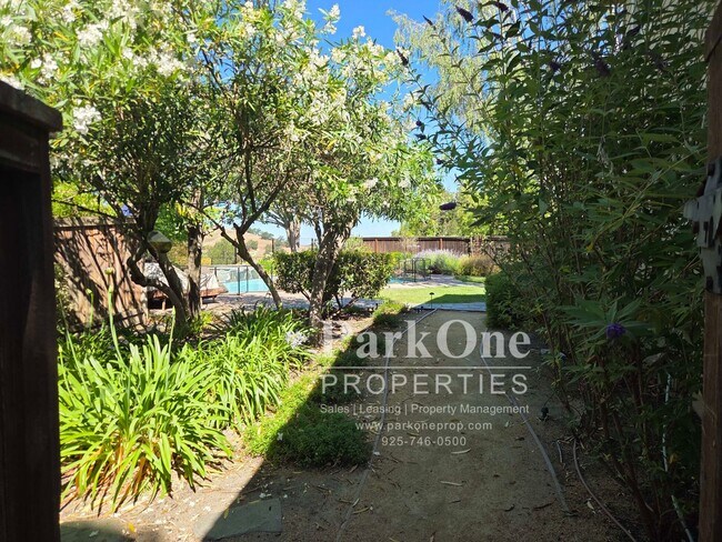 Building Photo - Amazing One of a Kind Home in the Heart of Danville with Pool & Views!