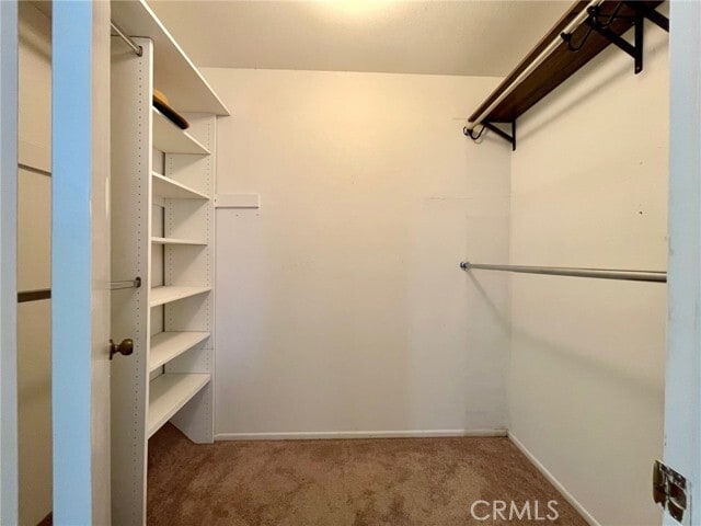 Building Photo - 1629 Sherwood Village Cir
