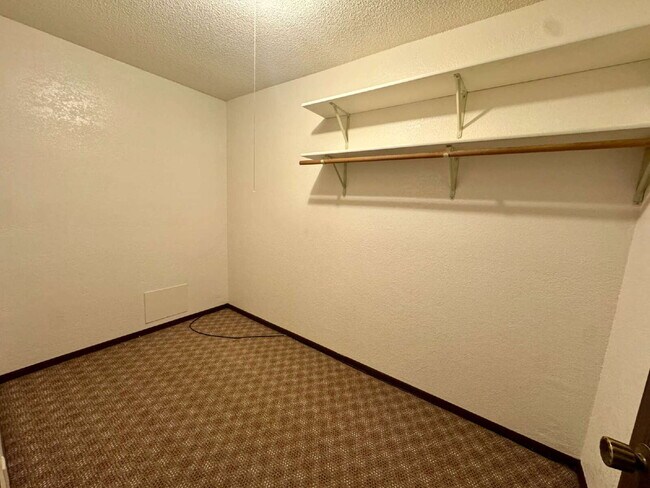 Building Photo - 2-3 3 Michael St