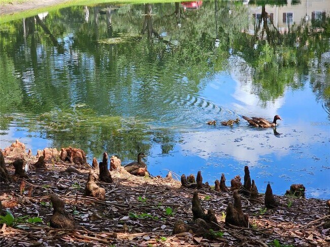 Building Photo - 5354 Diplomat Ct