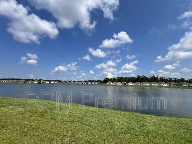 Building Photo - 1255 Drago Dr