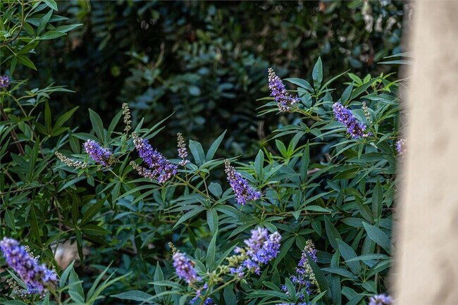 Building Photo - 3404 American Dr