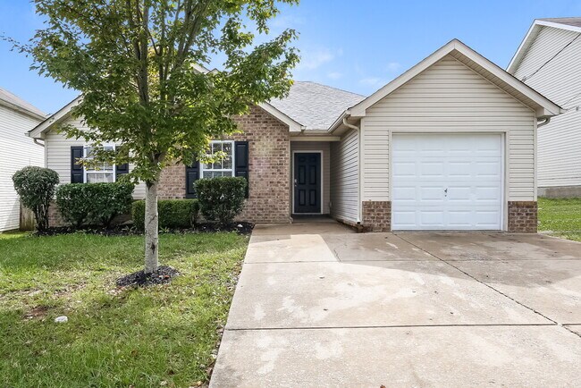 Primary Photo - 105 Berele Shepsele Ln