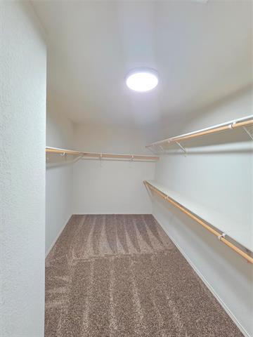 Building Photo - 8138 Mossberg Dr